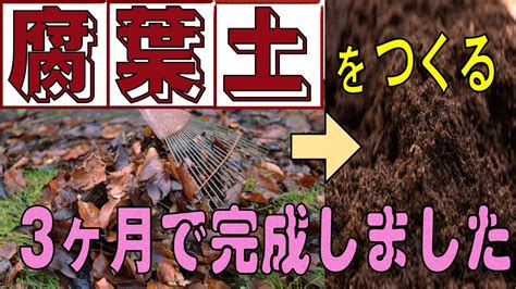 腐葉土|腐葉土とは？ 効果や使い方、選ぶポイントと作り方について解。